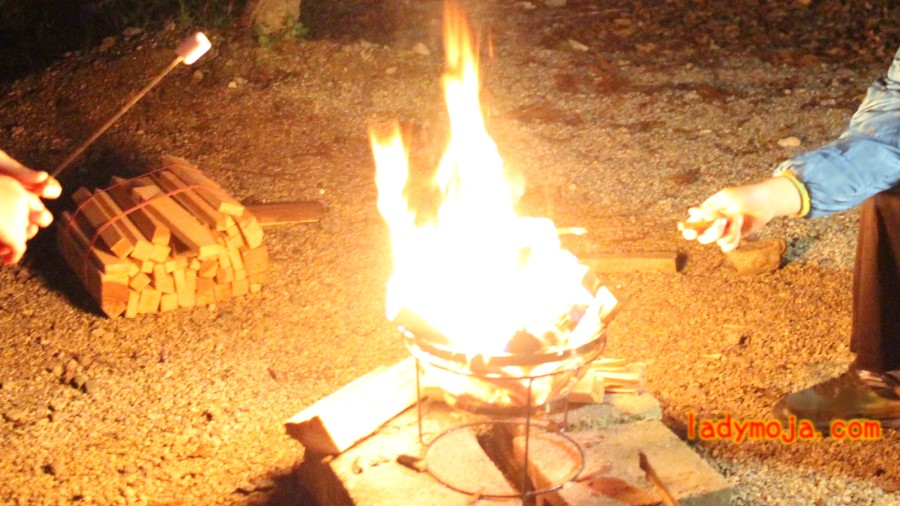 キャンプでマシュマロを焼く