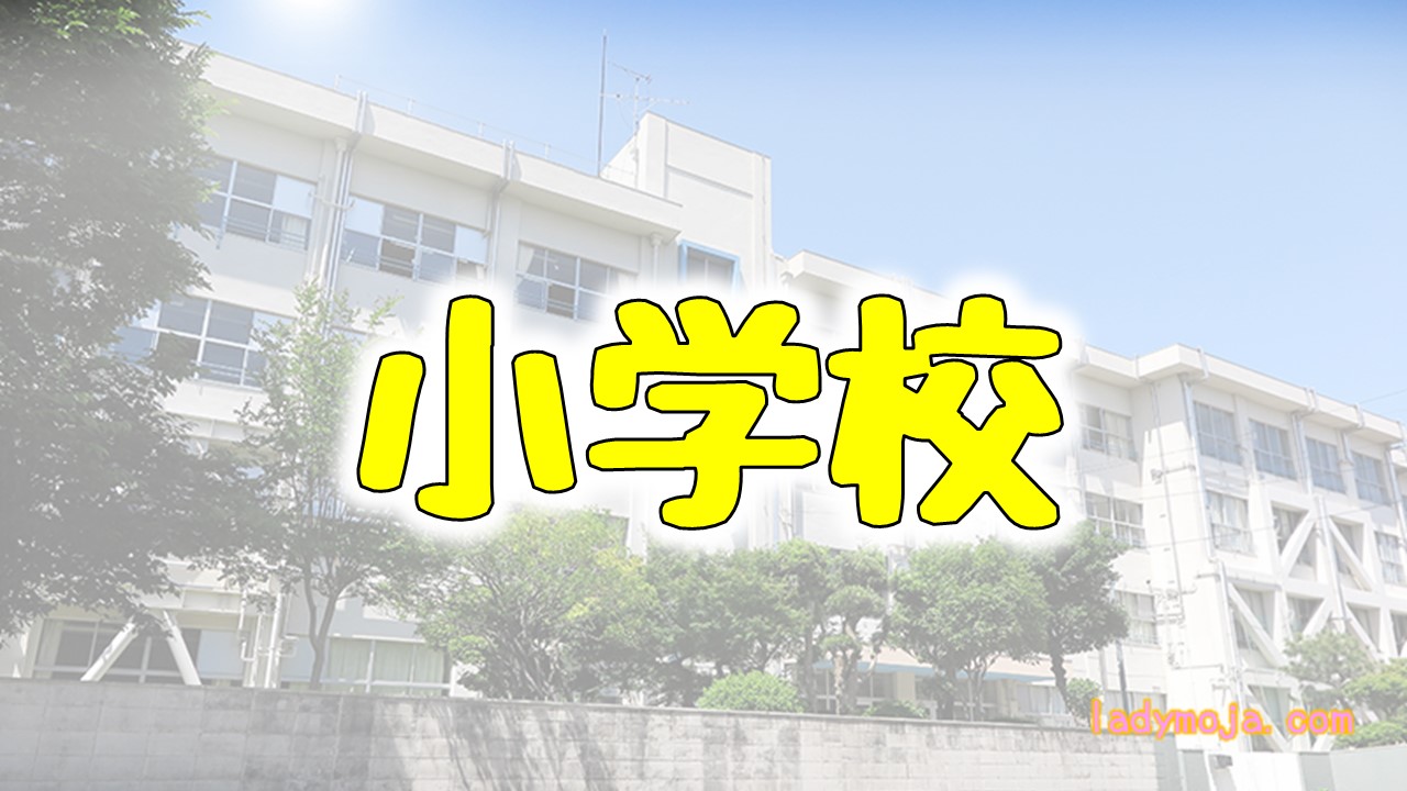 小学校生活・学校対応