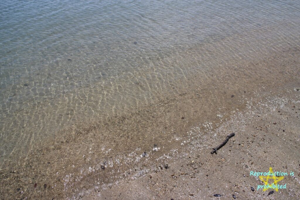 次郎六郎海水浴場の砂浜は小石が多い