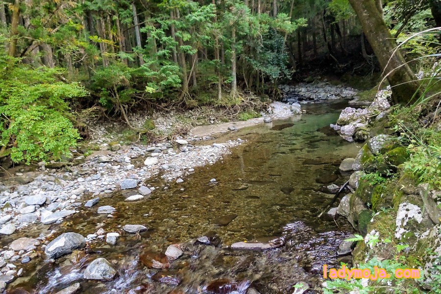 清流の里ぬくみ綺麗な川